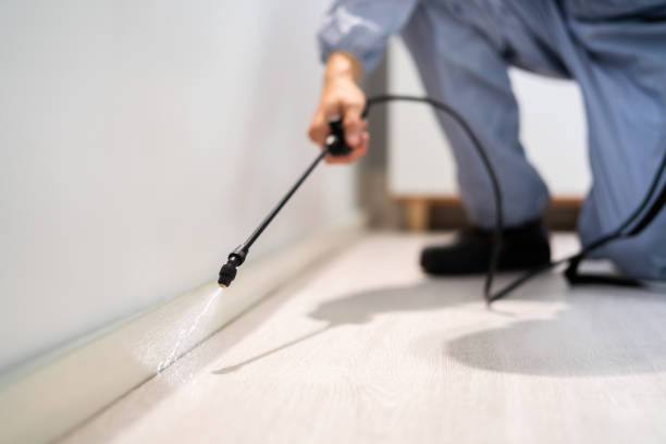 Professional exterminator conducting IPM assessment in Frenchtown